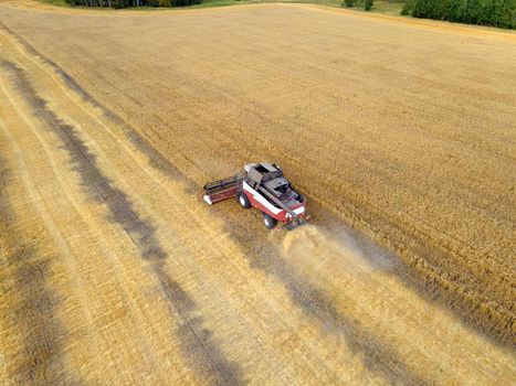 Combines mow wheat in the field.Agro-industry.Combine Harvester Cutting on wheat field.Machine harvest wheat.Harvesting of grain crops.Harvesting wheat,oats and barley in fields,ranches and farmlands