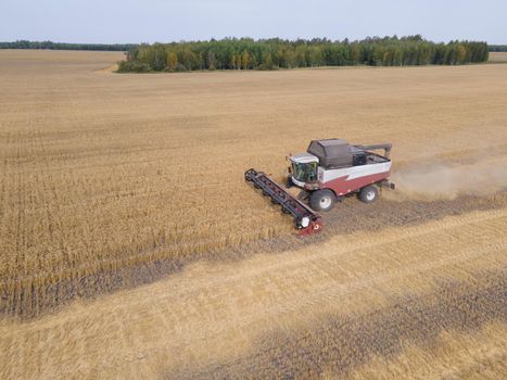 Combines mow wheat in the field.Agro-industry.Combine Harvester Cutting on wheat field.Machine harvest wheat.Harvesting of grain crops.Harvesting wheat,oats and barley in fields,ranches and farmlands