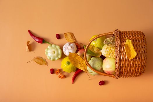 Top view autumn harvest basket with corn, apples, zucchini and peppers on a orange background.