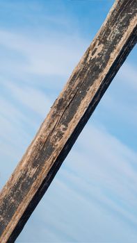 Vertical dark brown narrow plank log hard wood bark surface texture stem background sky sea board.