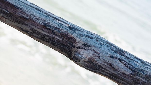 Diagonal line dark brown narrow plank log hard wood bark surface texture stem background sea board.