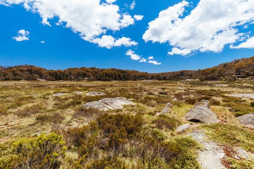 Tuckerbox Corner and intersection at Mt Buffalo on a summer's afternoon in the Victorian Alps, Australia