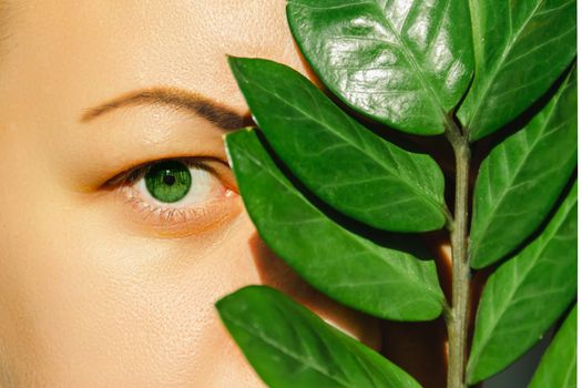 An open, green eye of a woman and a plant with large, green leaves covering the second eye