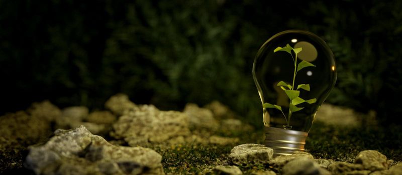 A light bulb with a plant inside on rock and nature. In a clean energy concept. Sustainable energy. energy saving in nature and renewable energy background