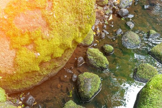 a forest stream flows among old mossy stones in a nature park. Natural background of water, rocks and green moss.