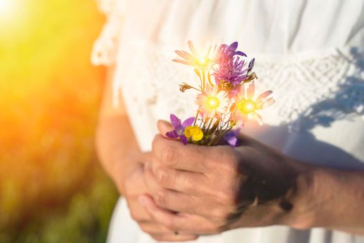 an unrecognizable woman in a white dress holds a small bouquet of wildflowers in her hands. a woman's hands hold wildflowers