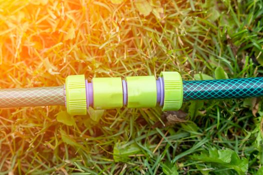 the plastic connector for the watering hose lies on the green grass. garden watering hoses in close-up, connected by a plastic connector for quick connection