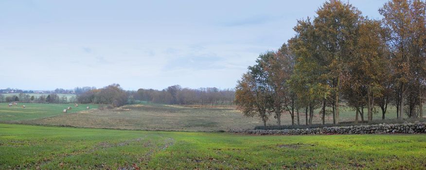 Landscape in autumn. Before sunset in late autumn - DenmarkThe forest in the colors of autumn