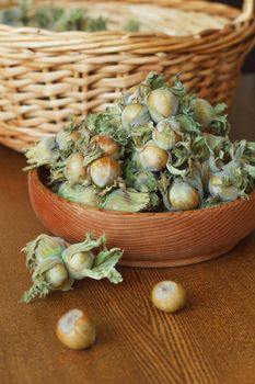 Young green hazel, hazelnuts collected from a tree in a husk, on a wooden background