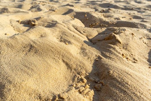 dune sea beach yellow sand close-up as background. photo