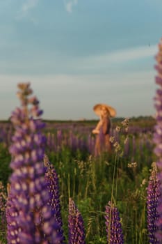 A beautiful woman in a straw hat walks in a field with purple flowers. A walk in nature in the lupin field.