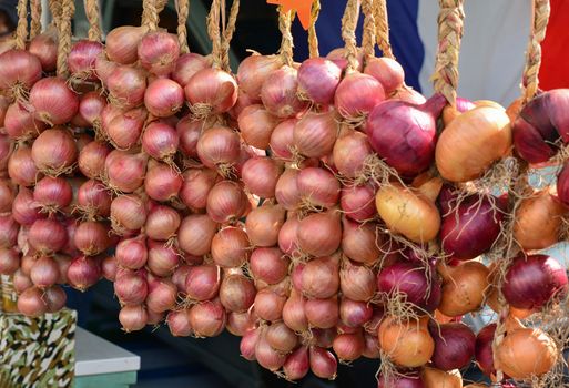 Violet onion hanging in a row for sale