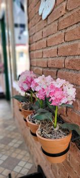 garden of colorful autumn flowers planted with love, in Minas Gerais, Brazil