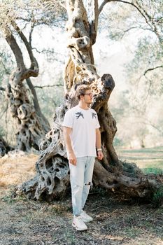 Young man with glasses stands sideways near a tree in an olive grove. High quality photo