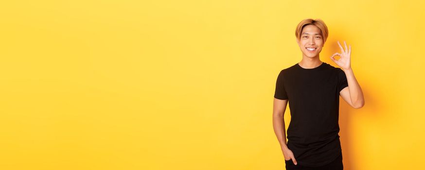 Portrait of satisfied and happy asian smiling guy, showing okay gesture in approval, praising good work, yellow background.