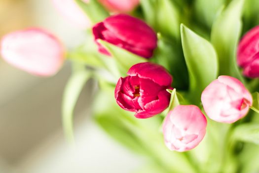 Flowers, spring holidays and home decor concept - Bouquet of beautiful tulips, floral background