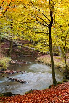 The beauty of autumn. Forest and landscape in the colors of autumn