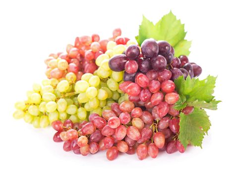 Red and white table grapes, wine grapes