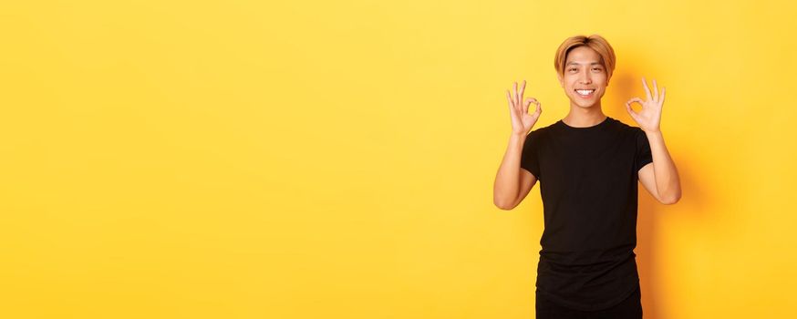 Portrait of smiling confident asian guy, looking pleased, showing okay gesture, yellow background.