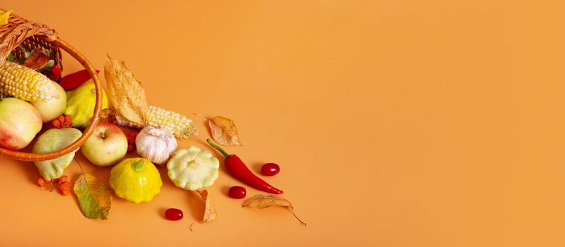 Autumn banner with harvest basket with corn, apples, zucchini and peppers on a orange background. Harvest concept.