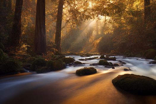 Peaceful river flowing through redwood forest with morning light and dappled sunshine in autumn. 3D illustration