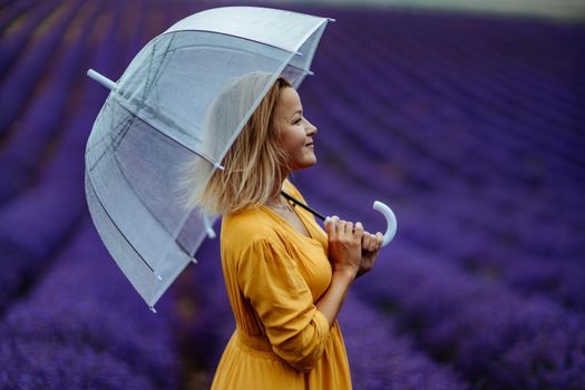 A middle-aged woman in a lavender field walks under an umbrella on a rainy day and enjoys aromatherapy. Aromatherapy concept, lavender oil, photo session in lavender.