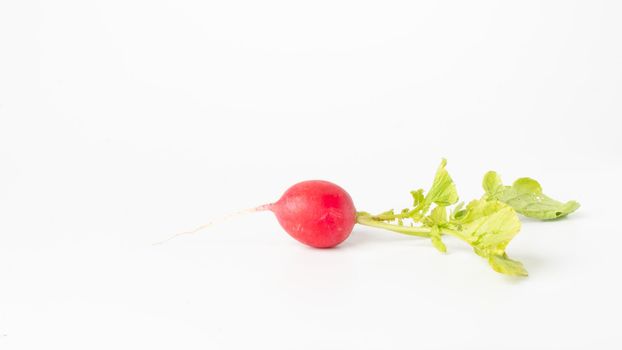 Radishes with greenery on a white background close-up. High quality photo