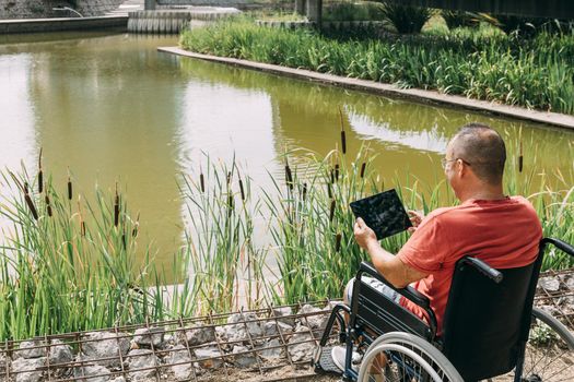 disabled man in wheelchair having fun while resting looking a tablet computer at park, concept of technological and occupational integration of people with disabilities and reduced mobility problems