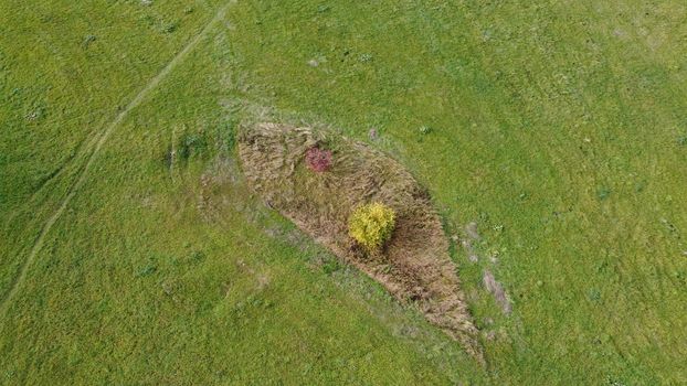 Grass landscape land with quadcopter looks like an eye. High quality photo