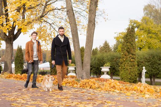 Father and son with a pet on a walk in the autumn park.