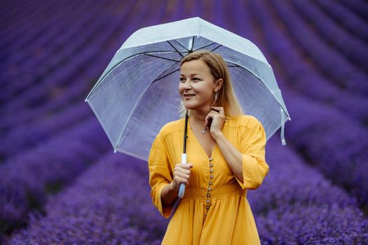 A middle-aged woman in a lavender field walks under an umbrella on a rainy day and enjoys aromatherapy. Aromatherapy concept, lavender oil, photo session in lavender.