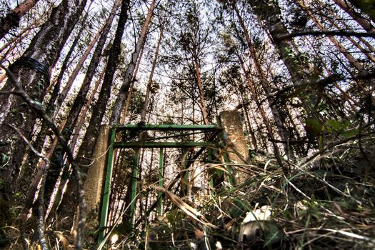 Metallic door in the middle of the forest among trees