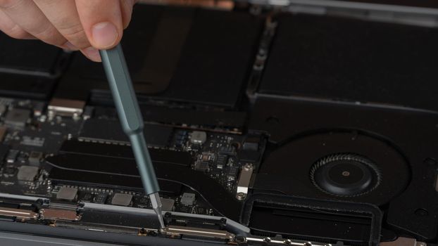 Repair and maintenance of computer laptop screwdriver unscrews the internal screw of the system. High quality photo