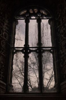 Old tall and dirty window and a bird and some trees behind the glass in the background in Jeronimos Monastery in Lisbon