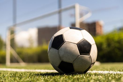 close-up view of leather soccer ball on green grass