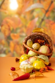 Autumn harvest basket with corn, apples, squash and peppers on autumn landscape background. Still life composition. High quality photo