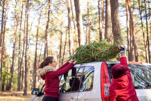 Elder sister and younger brother in a good mood together with fir-tree during christmas holidays near the car