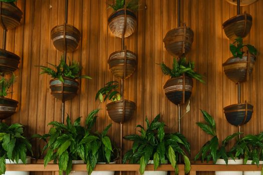 Cafe interior with elements of biophilic design. The concept of biophilia.