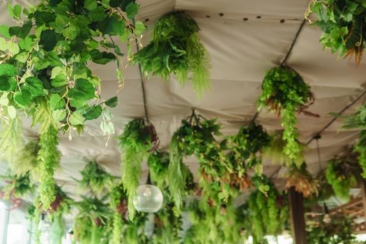 Cafe interior with elements of biophilic design. The ceiling is decorated with hanging indoor plants. The concept of biophilia.