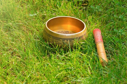 A Tibetan singing bowl stands in the thick green grass. Copy space