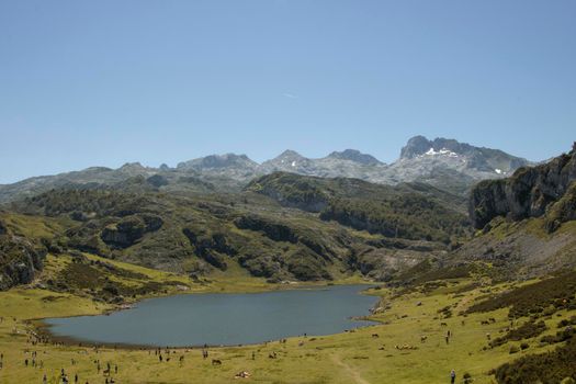 Landscape showing Covadonga lakes in Picos de Europa in Spain