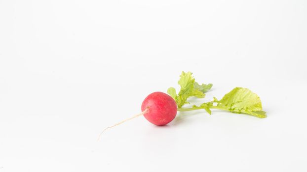 Radishes with greenery on a white background close-up. High quality photo