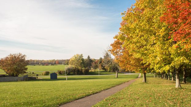 Panoramic view of an farm landscape in the autumn season. Trees with orange red green leaves. Green field.