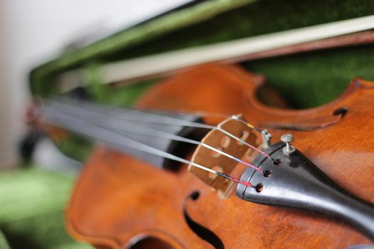 the violin a stringed professional musical instrument. High quality photo