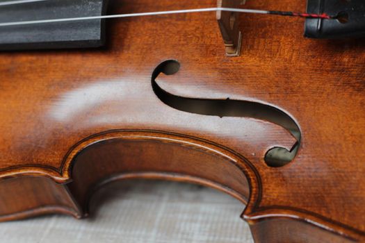 the violin a stringed professional musical instrument. High quality photo