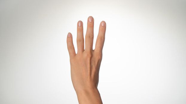 Women's hands count on fingers 4 back of palms. High quality photo