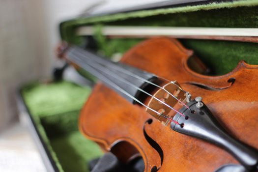 the violin a stringed professional musical instrument. High quality photo