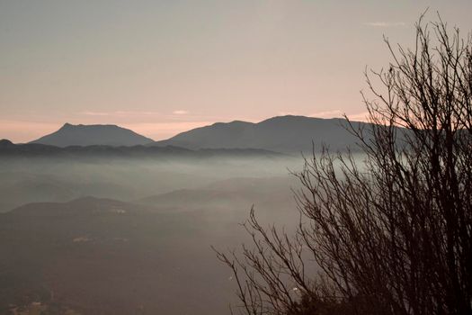 Landscape showing a layer of fog and some mountains and a part of a tree in the foreground in Tavertet