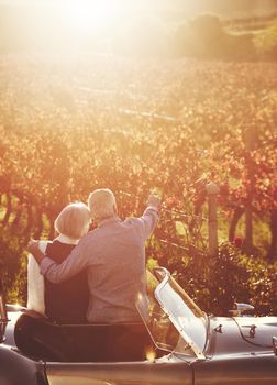 Thats where we started....Rearview shot of a senior couple looking out over the winelands