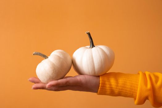 Two small decorative pumpkins in a woman's hand in a sweater on an orange background.